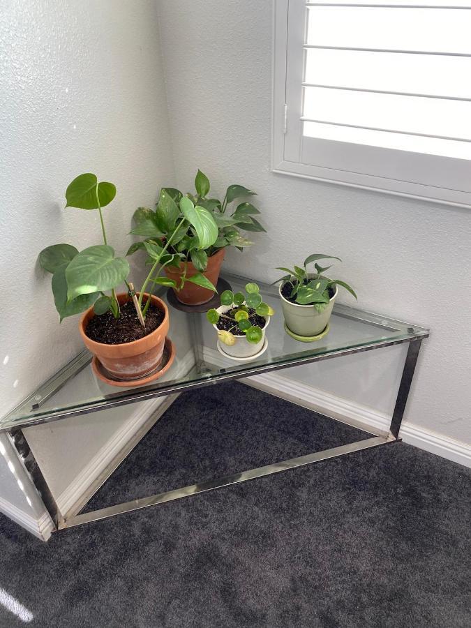 Private Room In La With Free Wifi And Tv With Shared Kitchen Los Angeles Kültér fotó